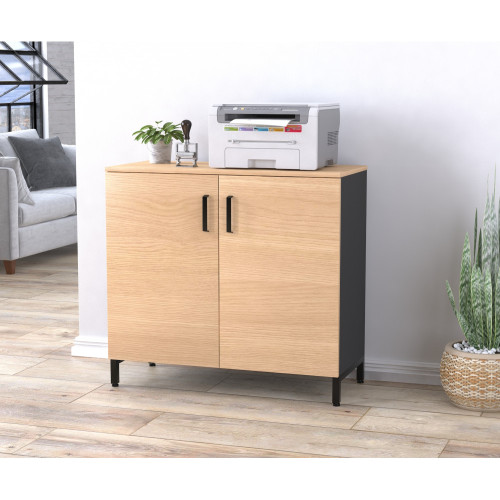 Тумба офісна LT-900-830 (Loft Design)