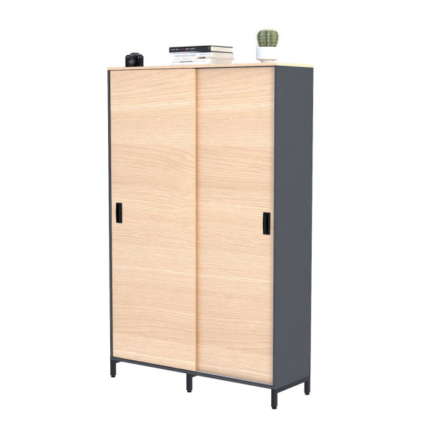 Шкаф LS-1200-1900 (Loft design)