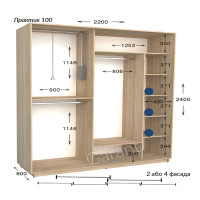 Шафа купе практик 100/2-2200-600-2400 (Garant)